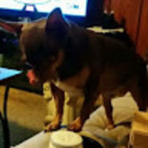 Meet your Posher, Steven m.